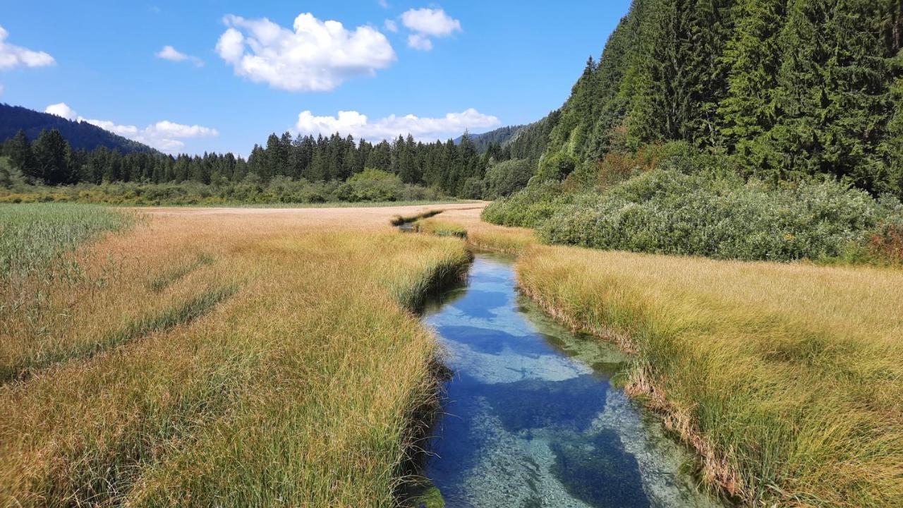 House Godec - Ratece Planica Leilighet Kranjska Gora Eksteriør bilde